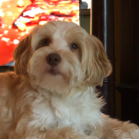 Hello and welcome to my closet! - Picture 5 of 7